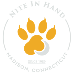 Nite in Hand logo